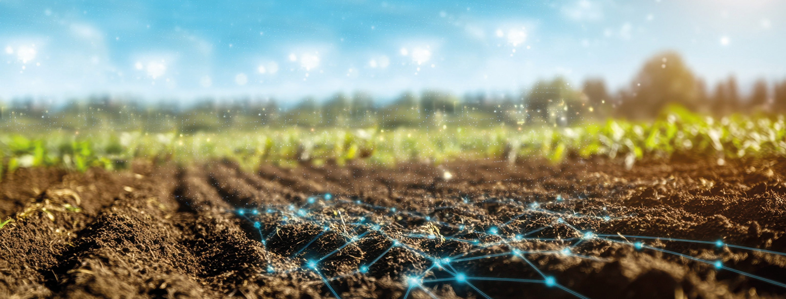 McCormick na Demoagro 2025: potência, conforto e tecnologia ao serviço do agricultor